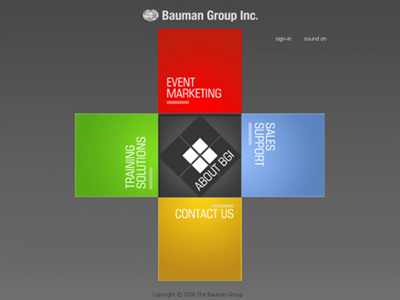 The Bauman Group